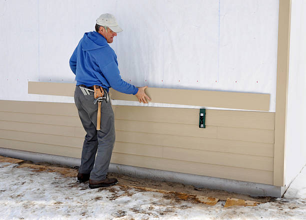 Best Custom Siding Design  in Eldridge, IA