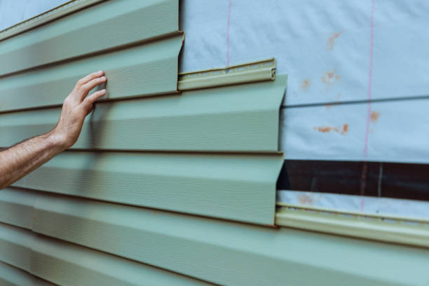 Best Fascia and Soffit Installation  in Eldridge, IA